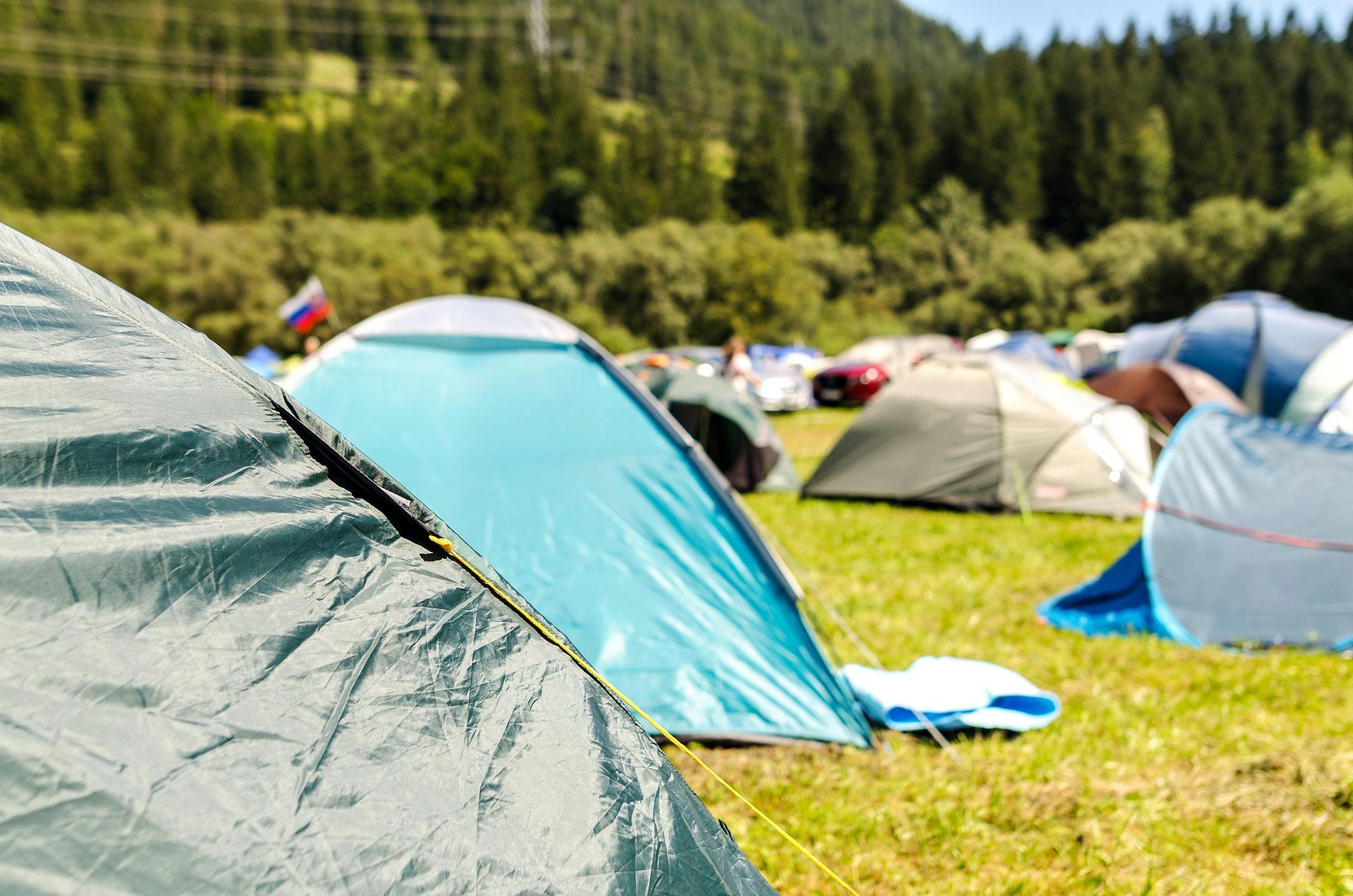 Camping tents on a grassy field with trees in the background, sunny day. People are setting up camp.