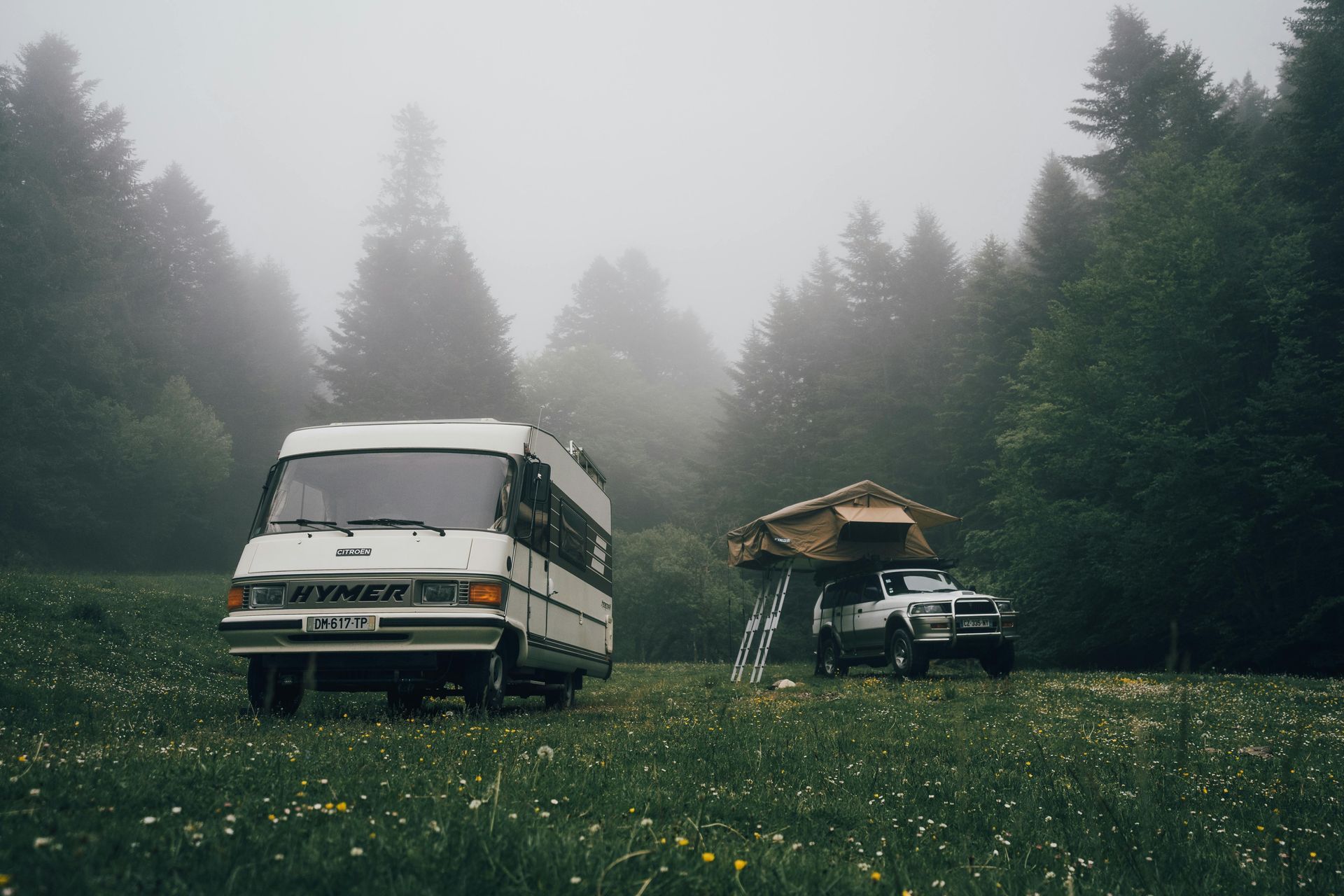 White camper van and a 4x4 with a roof top tent parked in a grassy field in a foggy forest.