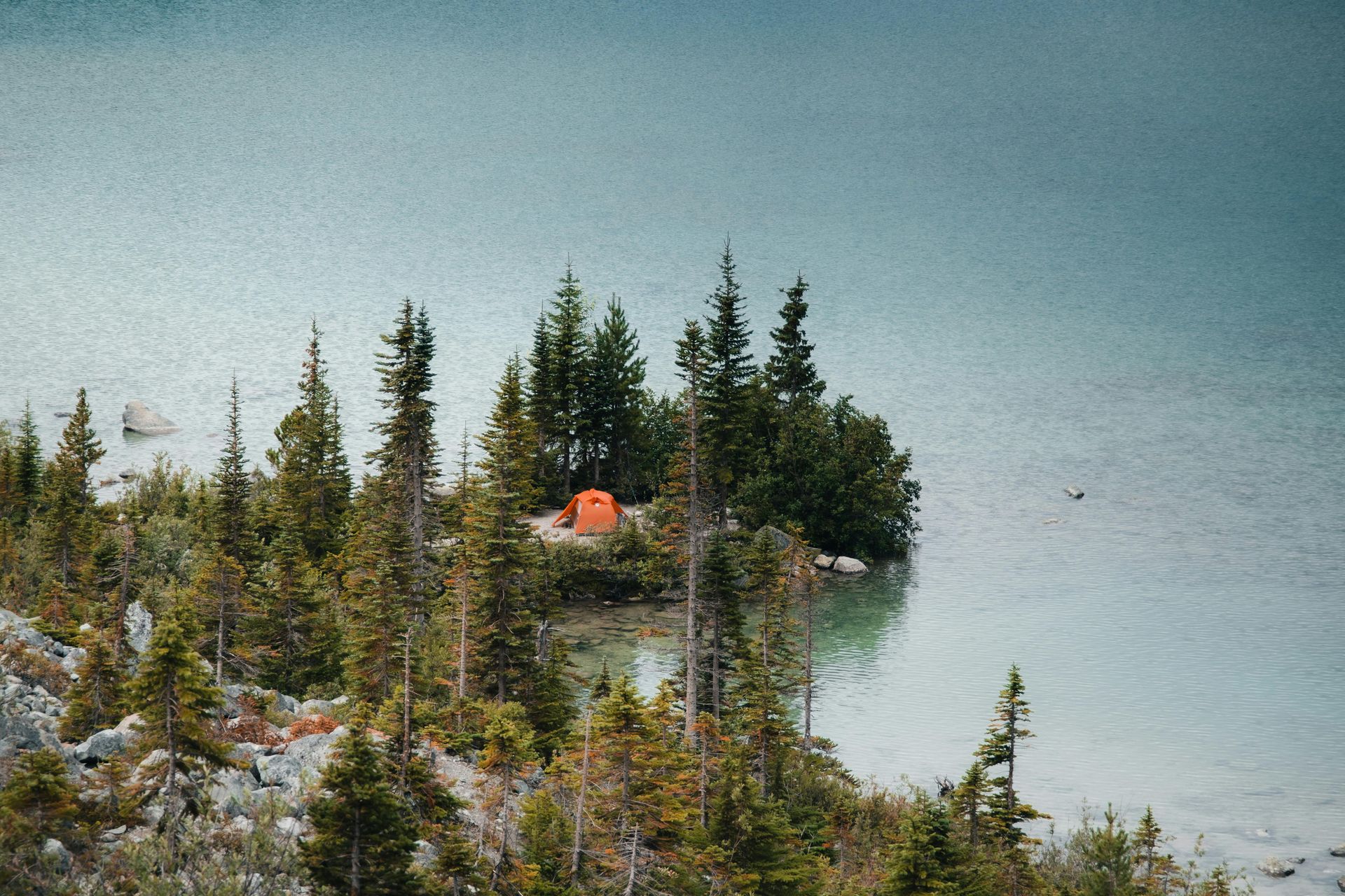 Orange tent nestled among evergreen trees on a small island in a lake; light blue water and sky.