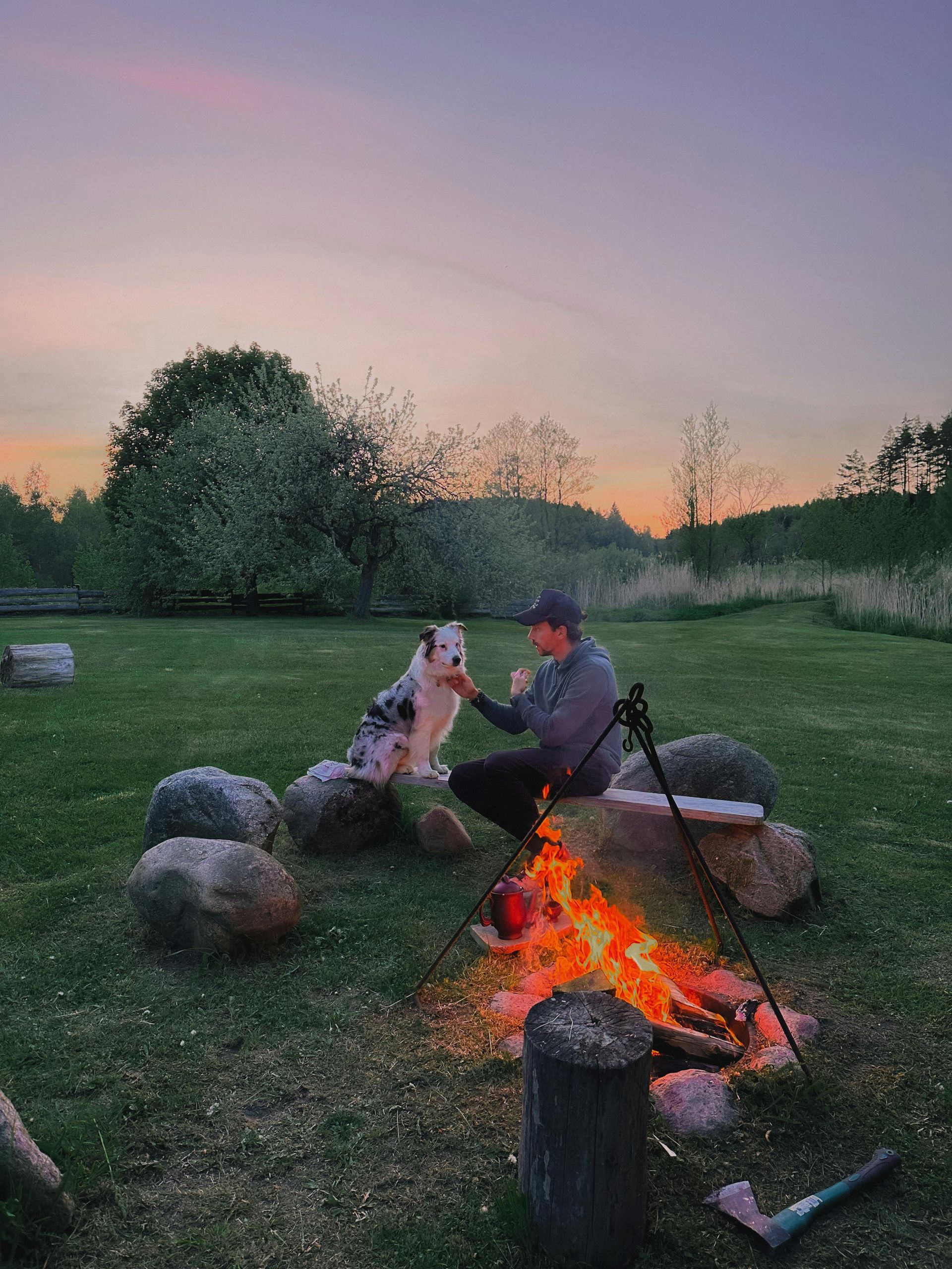 A person sits by a campfire with a blue merle dog at dusk. They're interacting in a grassy outdoor setting.