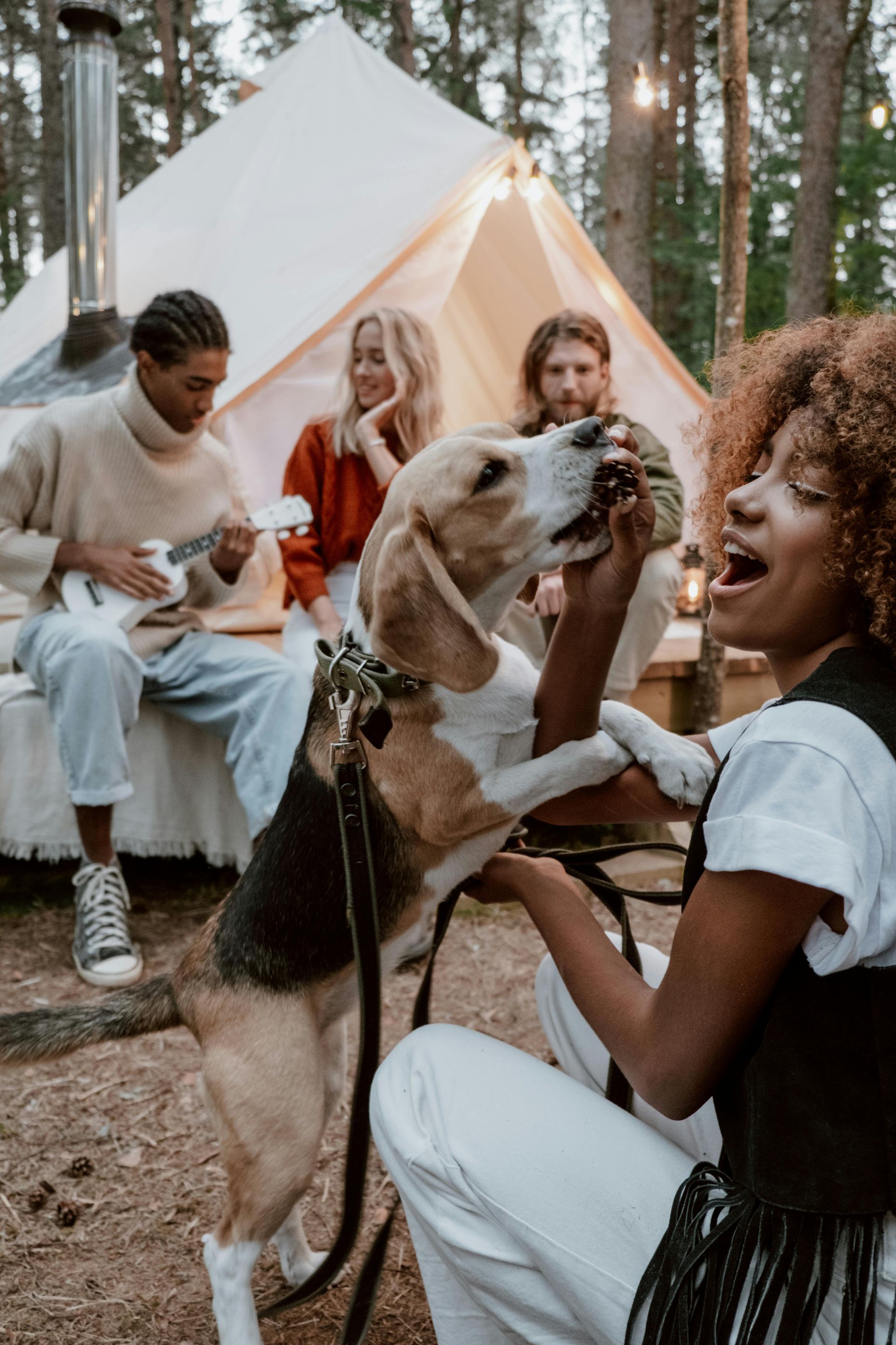 A woman plays with a beagle dog outdoors near a tent, while friends relax nearby.