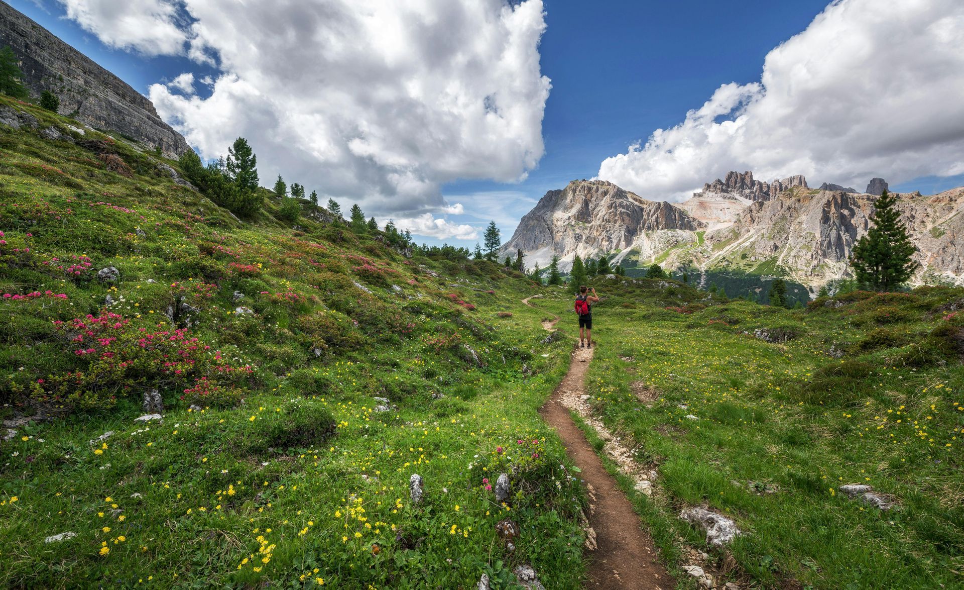 A person hikes on a dirt path through a green meadow towards mountains under a partly cloudy sky.