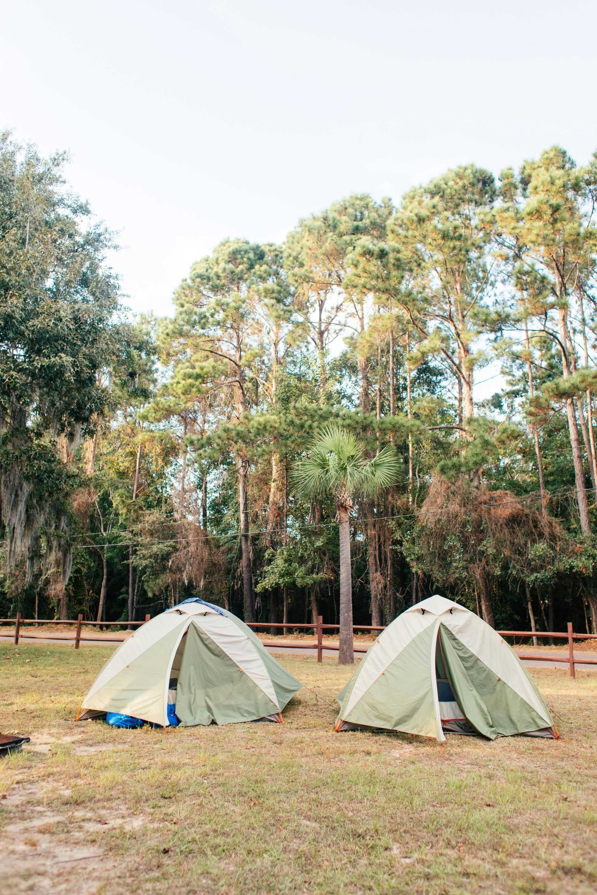 Two green tents on a grassy campsite, set against a backdrop of tall trees and a clear sky.