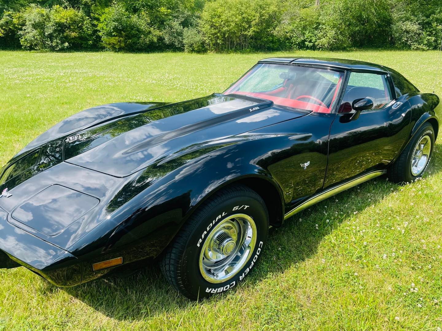 Black vintage Corvette on a grassy field, red interior visible.