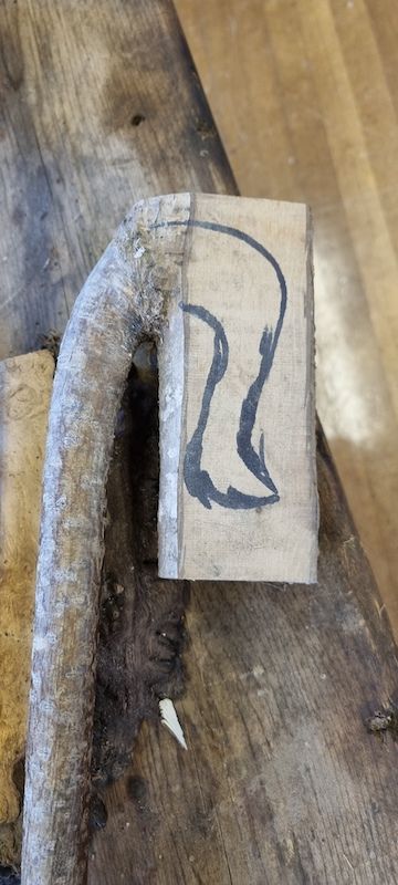 At the start , image from Newcastleton Stick Workshop Stick making process Scottish Crookmaker's Association