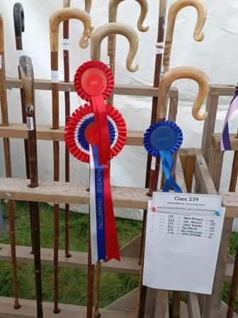 Yetholm 2024 Novice winning sticks