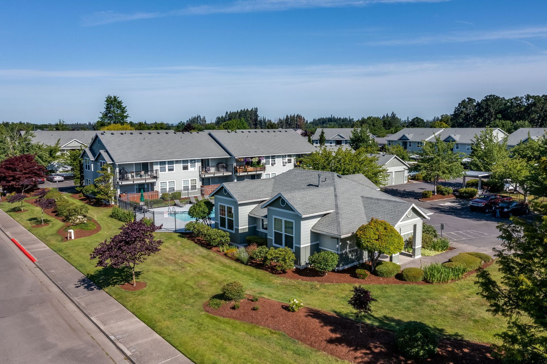 Aerial view of Big Meadow apartment community.