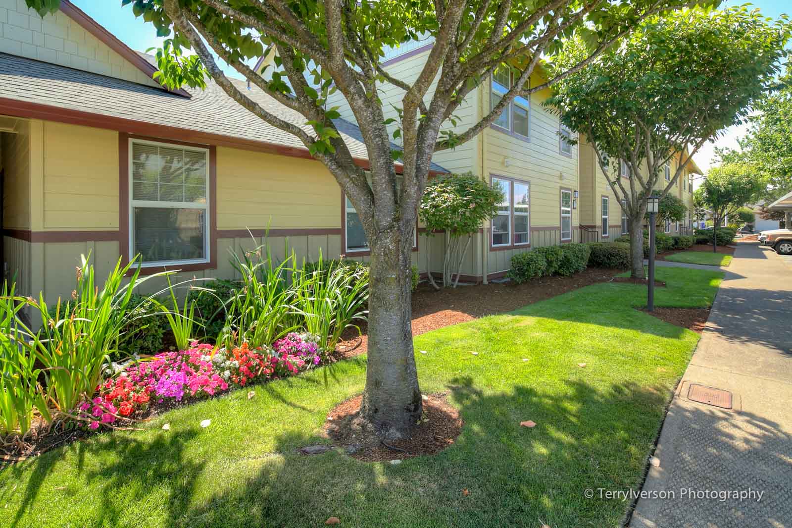 Big Meadow Apartments View Our Apartment Gallery