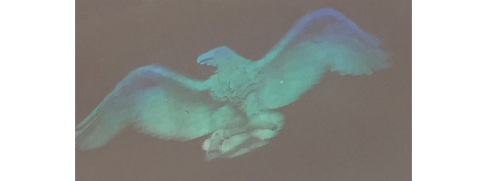 FLEXcon holographic eagle