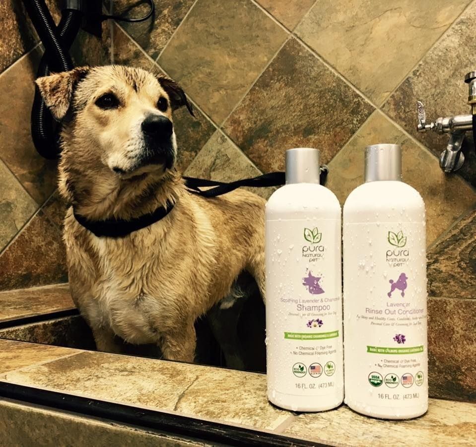 Pura products and dog in bath