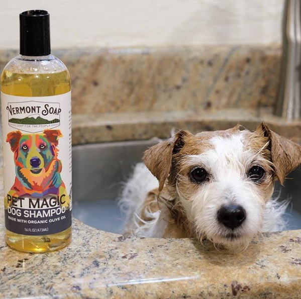 Vermont Soap Pet Magic Dog Shampoo