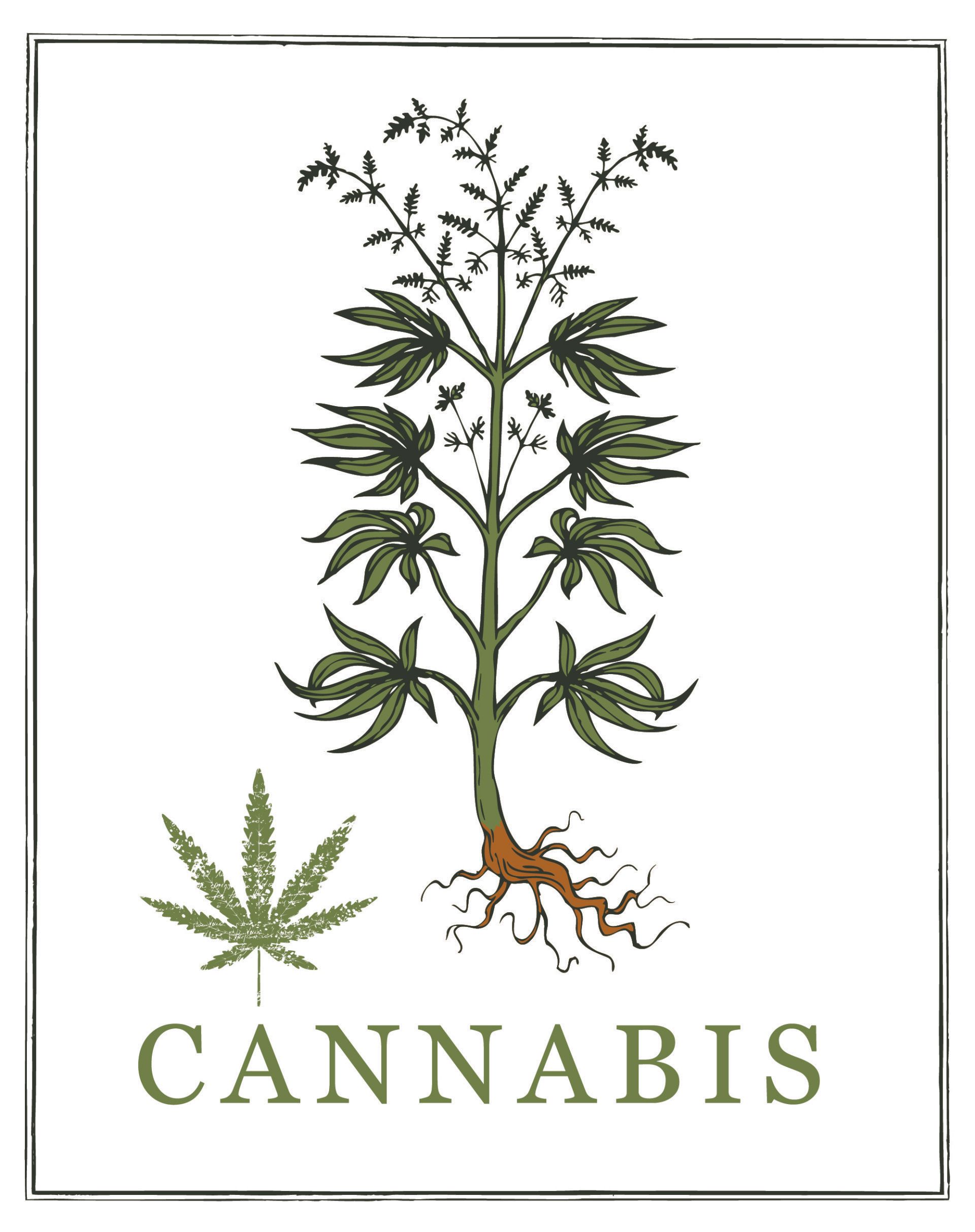 Rustic Cannabis