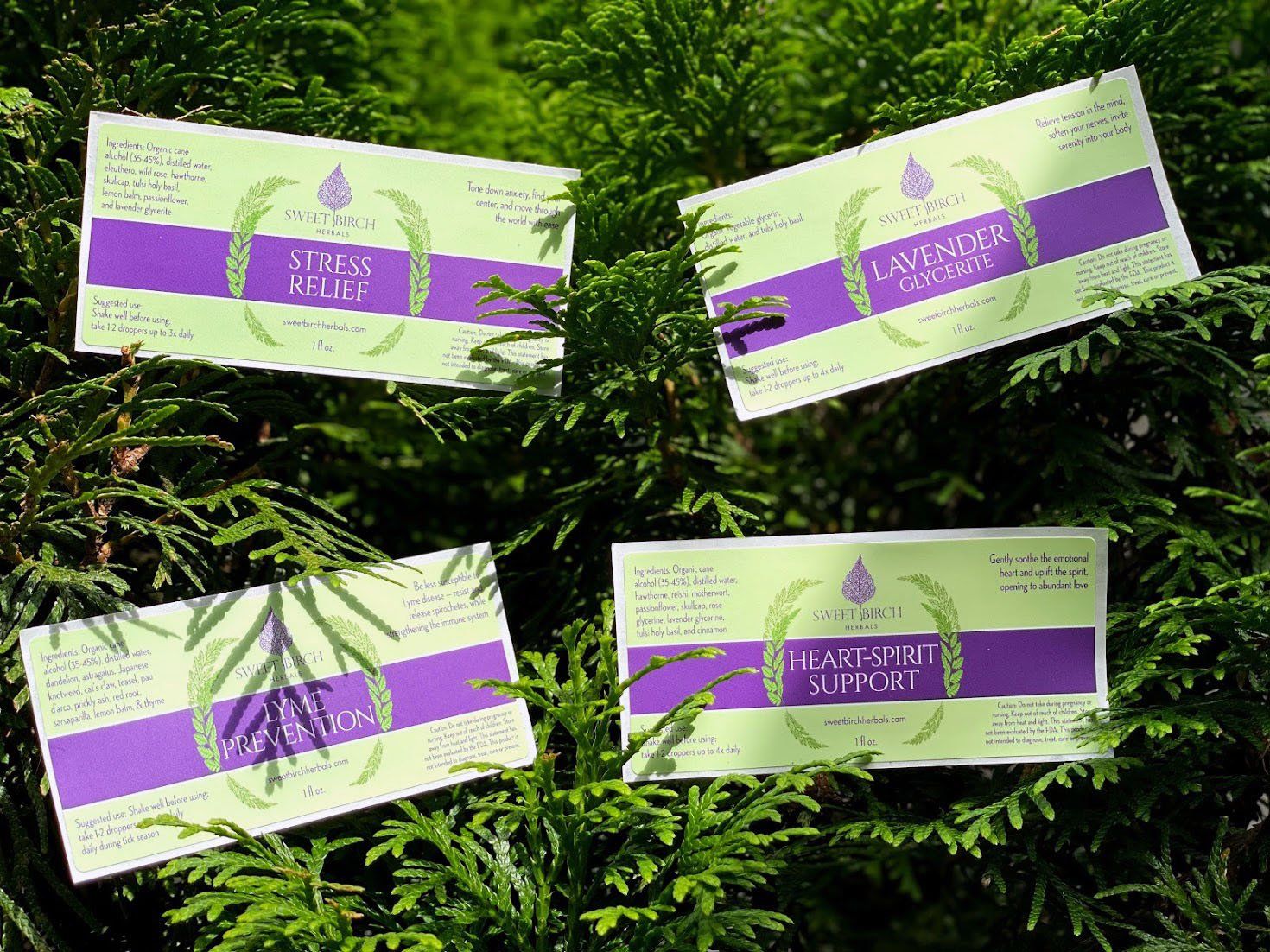 Sweet Birch Herbals Various Labels