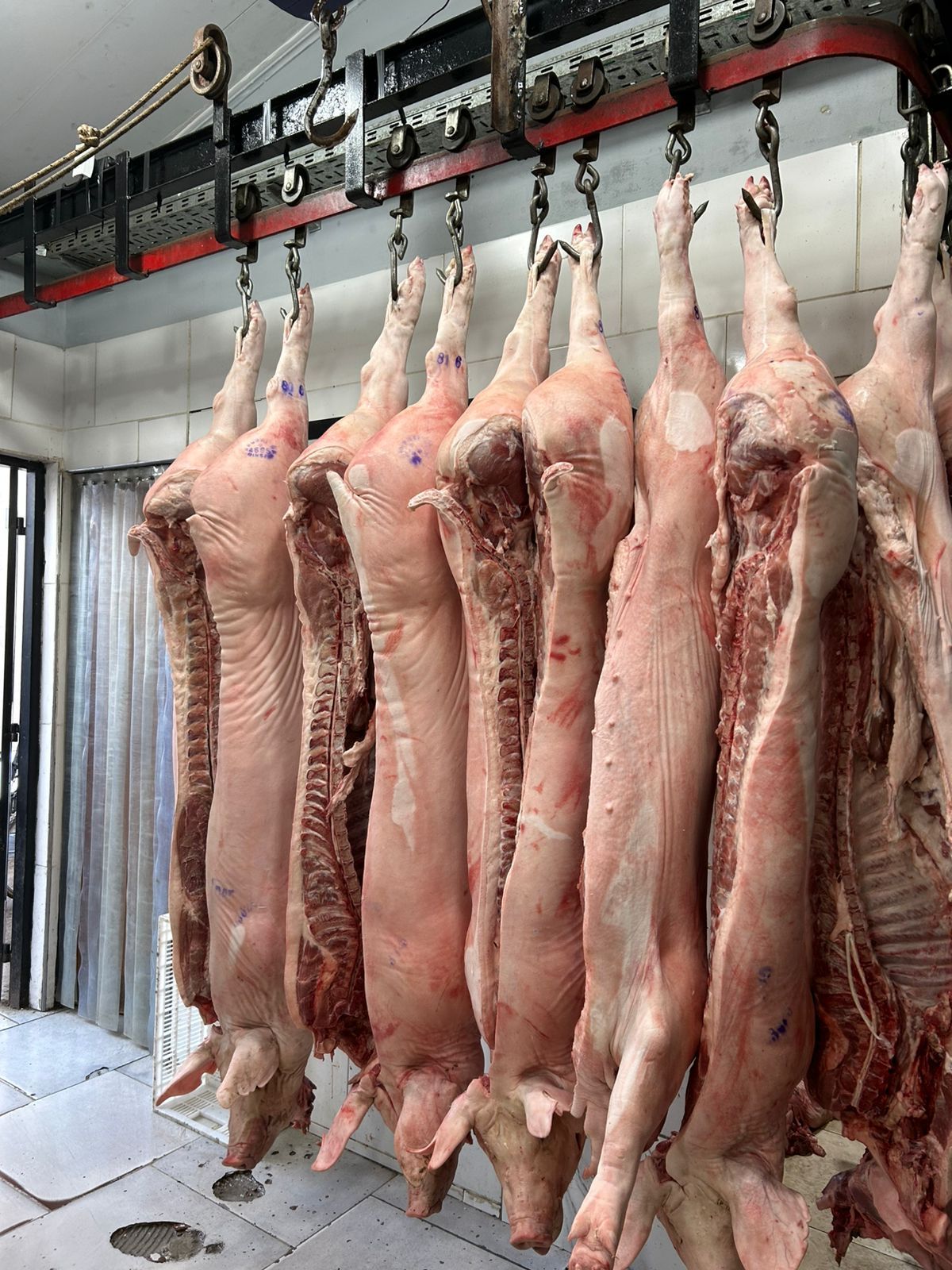 Canales de cerdo colgadas en una carnicería, sujetas a ganchos metálicos, con la carne de color rosa pálido.