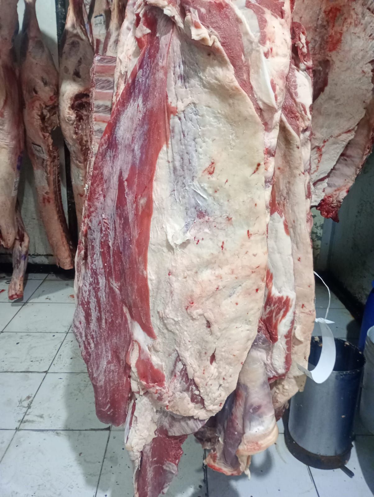 Canal de res colgada en una carnicería, carne roja con grasa blanca.