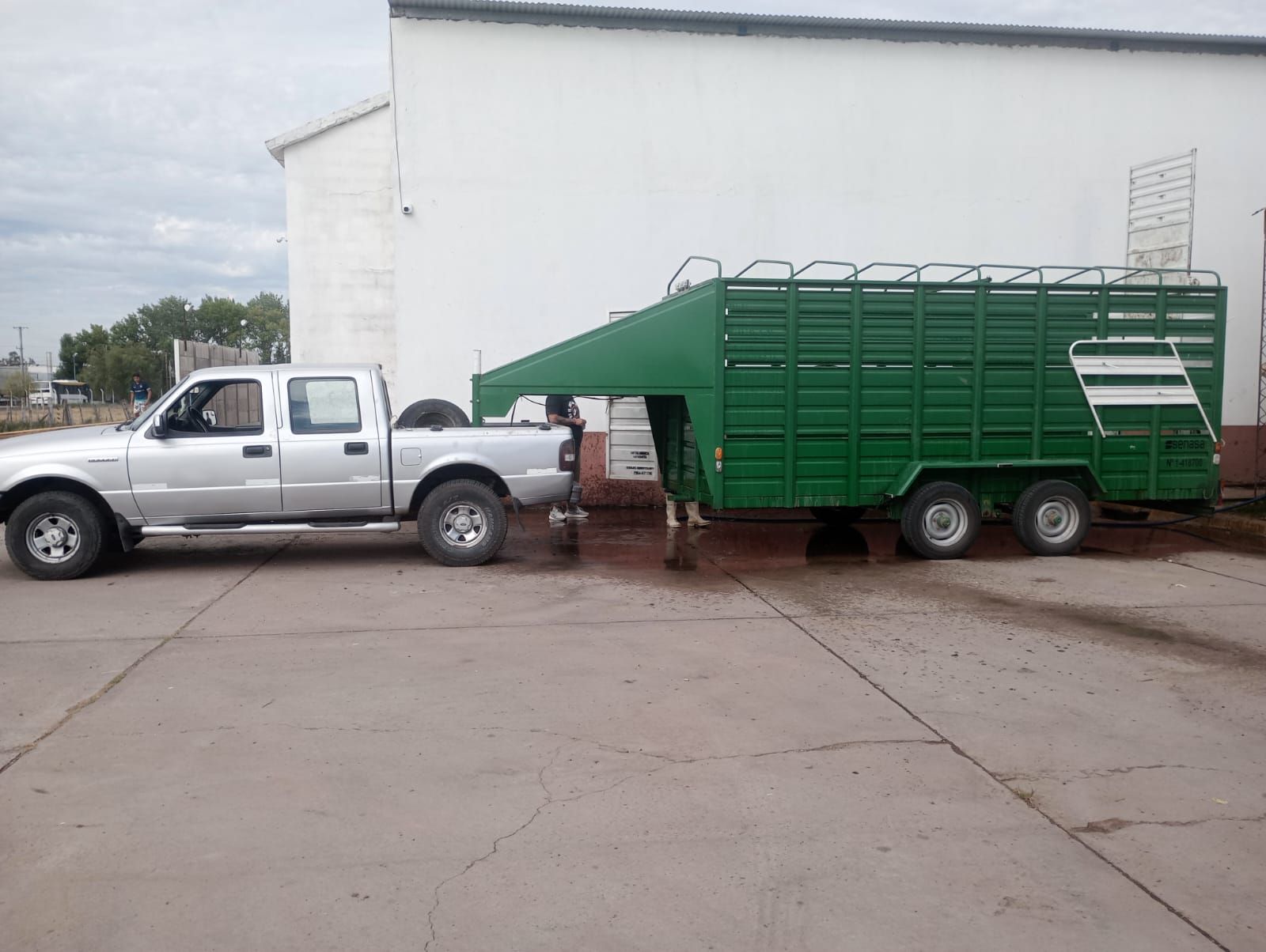 Camioneta plateada remolcando un gran remolque verde para ganado frente a un edificio blanco.