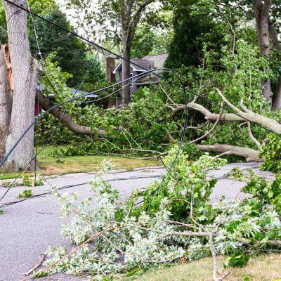 Storm Clean-Up — Rustburg, VA — Bryant's Tree Service