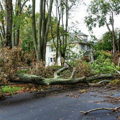 Storm Damage — Rustburg, VA — Bryant's Tree Service