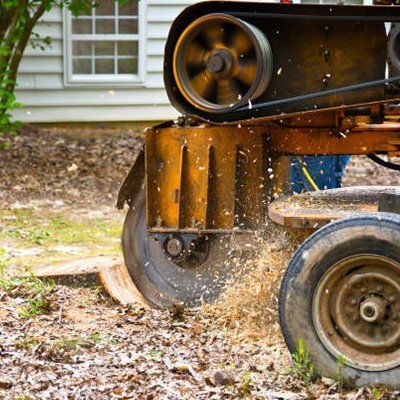 Stump Grinding — Rustburg, VA — Bryant's Tree Service