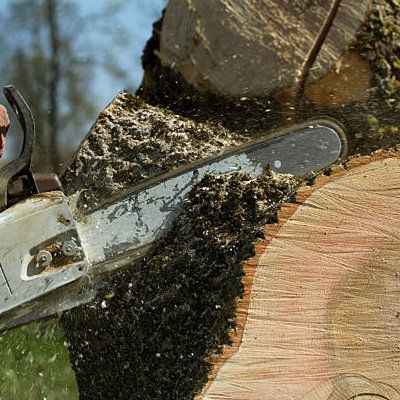 Tree Cutting Expert — Rustburg, VA — Bryant's Tree Service