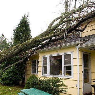 Storm Damaged House — Rustburg, VA — Bryant's Tree Service