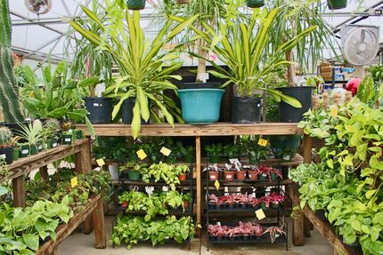 Logan's Garden Hut | Fuquay-Varina, Apex & Clayton, NC | Garden Center