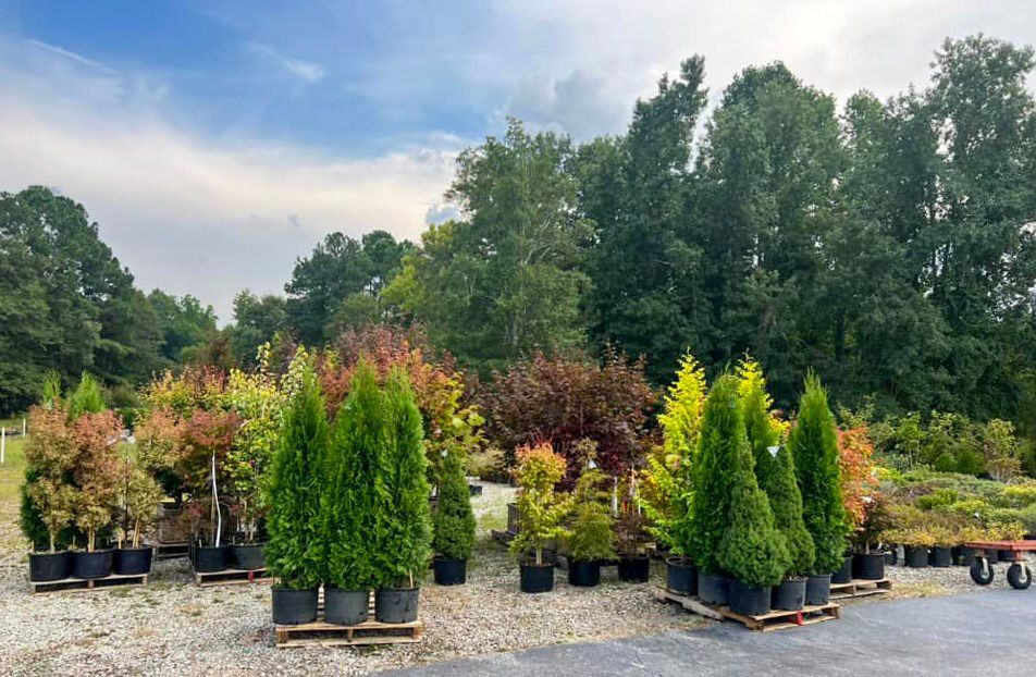 Our Products Logan's Garden Hut FuquayVarina & Willow Springs, NC