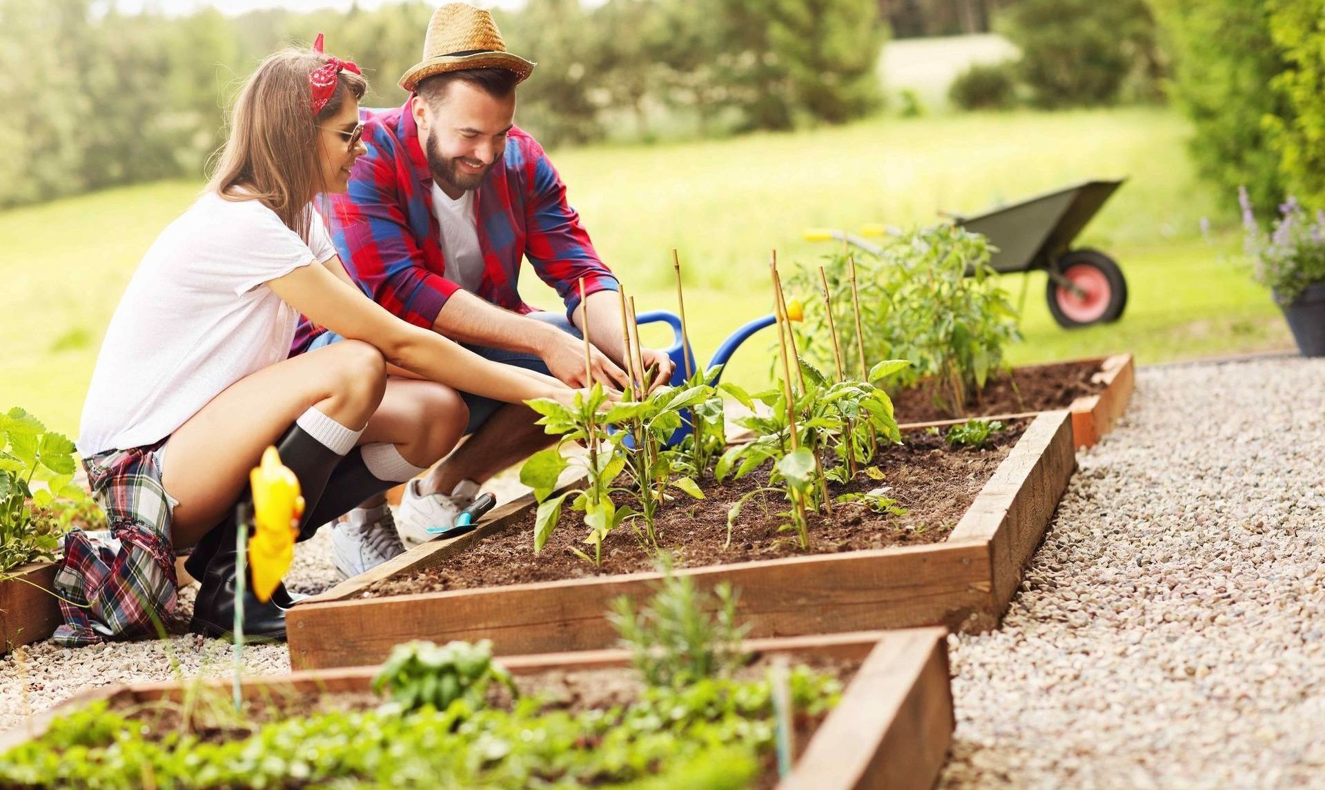 family planting a garden