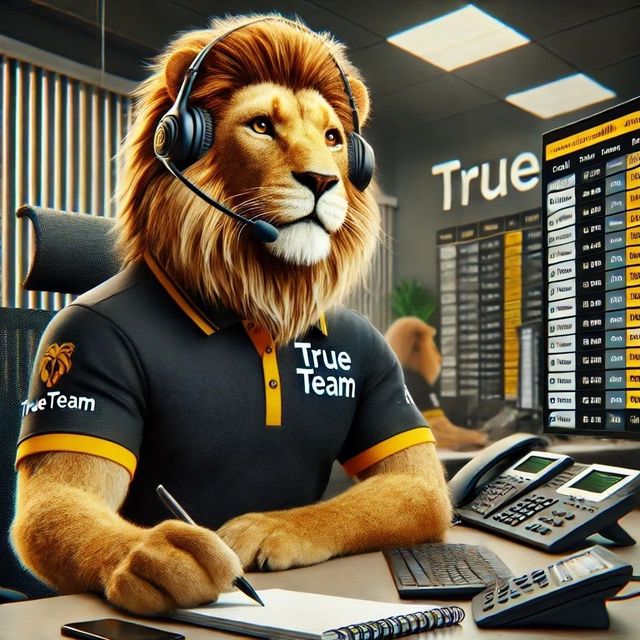 Schermata illustrativa dell