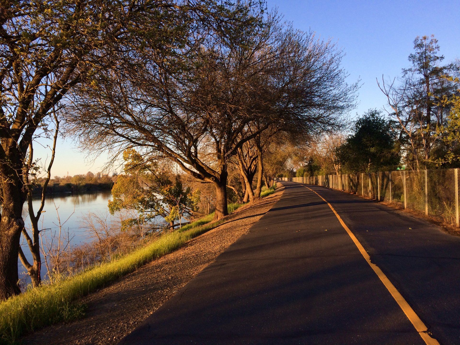 Open Road with trees