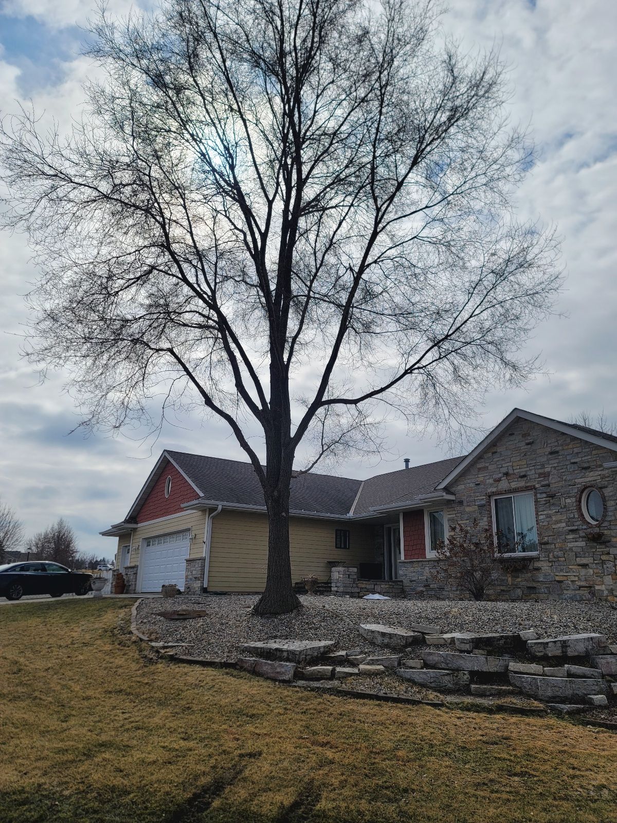 A large, bare tree towers over a one-story stone house with a multi-car garage on a cloudy day.