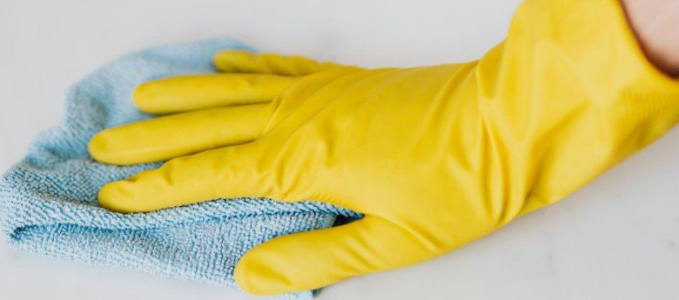 Articoli per la pulizia professionale