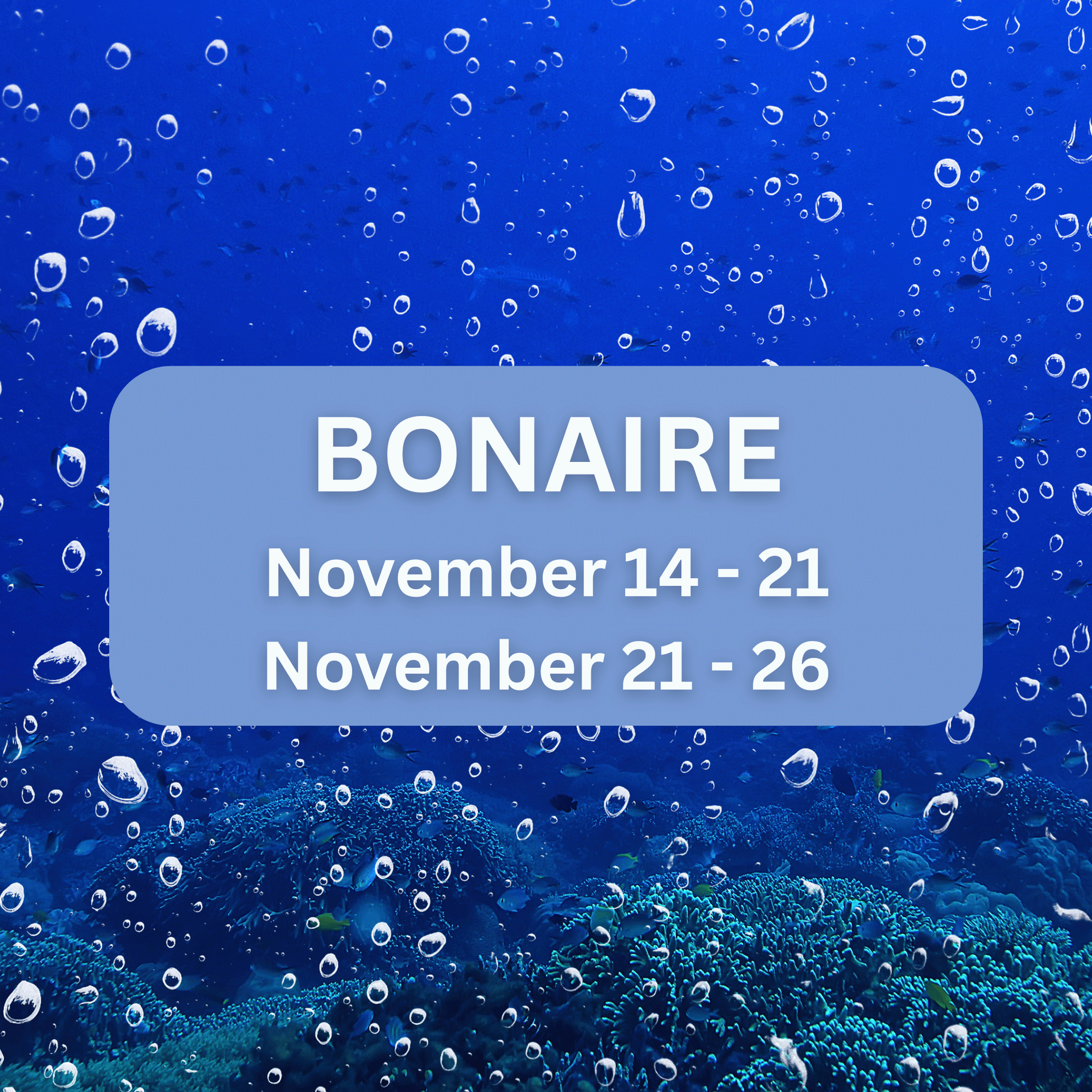 Thanksgiving in Bonair by Peachtree Dive Center