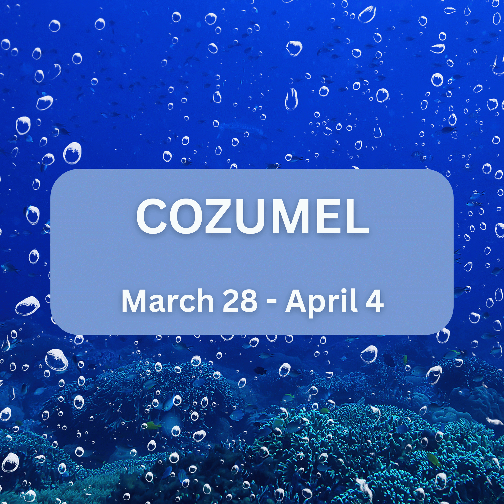 Cozumel Dive Trip by Peachtree Dive Center
