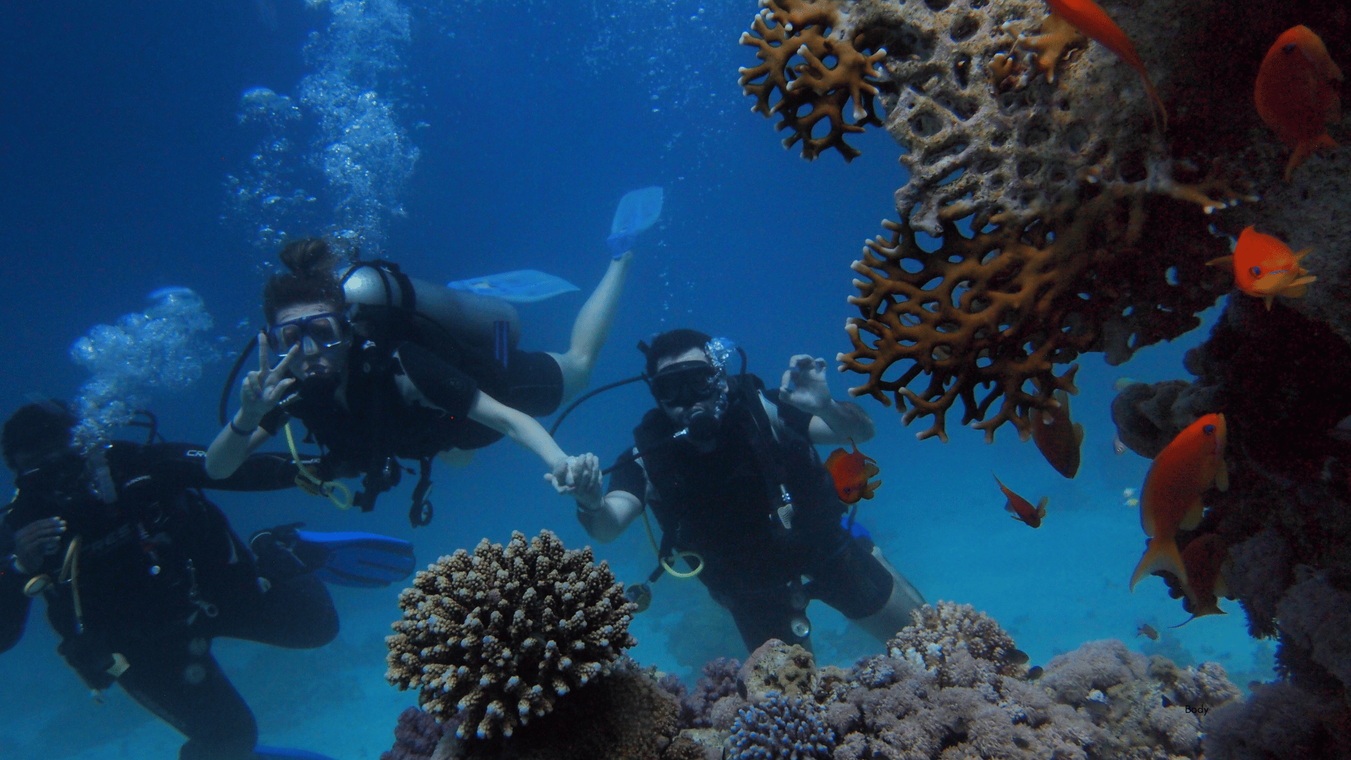 Scuba Diving