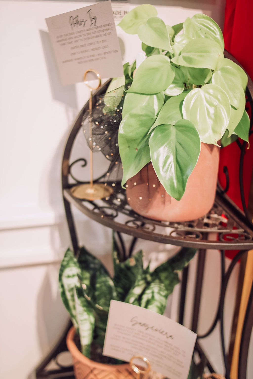A two-tiered plant stand with two potted plants. One with green leaves, the other snake plant with green and white leaves.