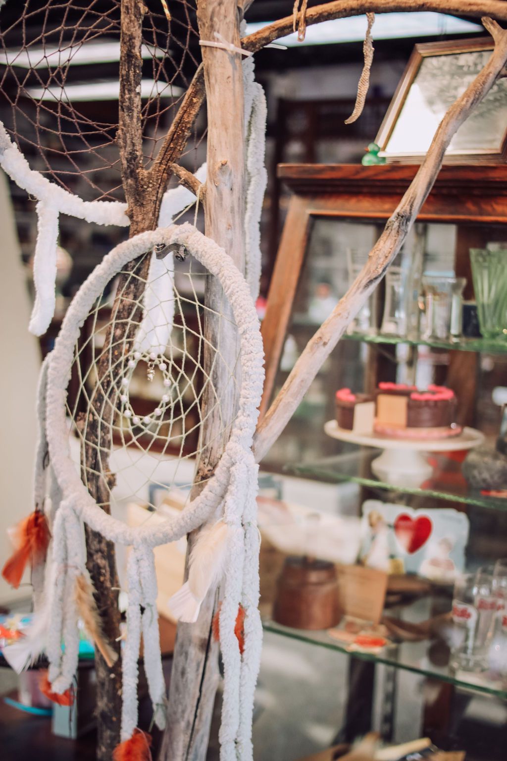 Dream catchers hang on a tree branch; a display case with items is in the background.