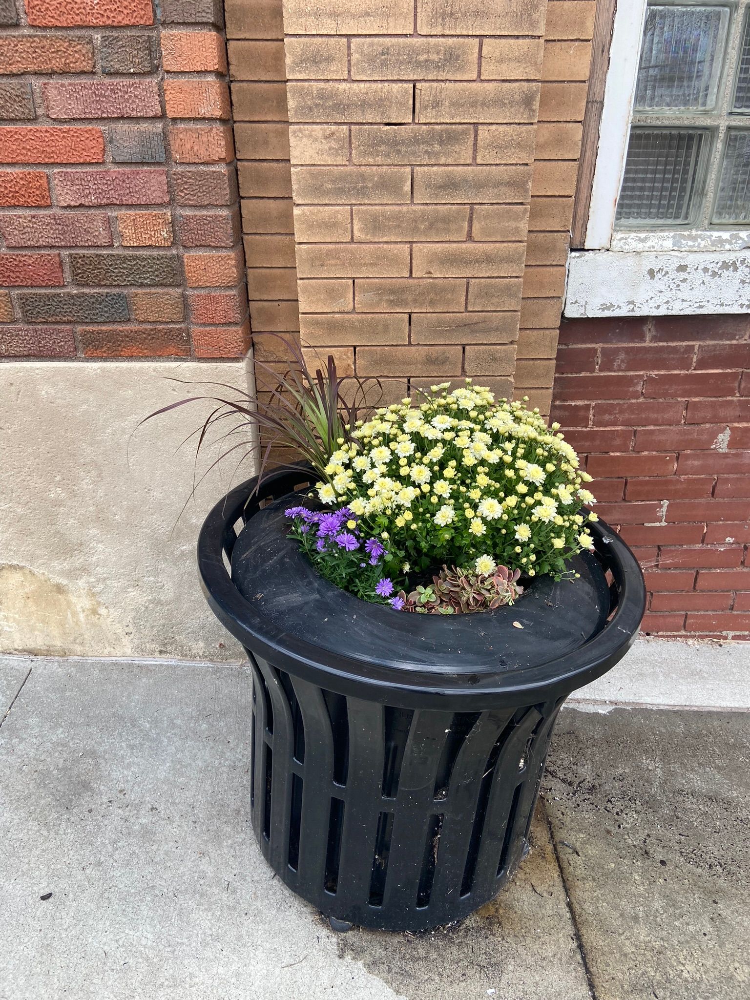 Black planter with yellow and purple flowers, set against brick wall and window.