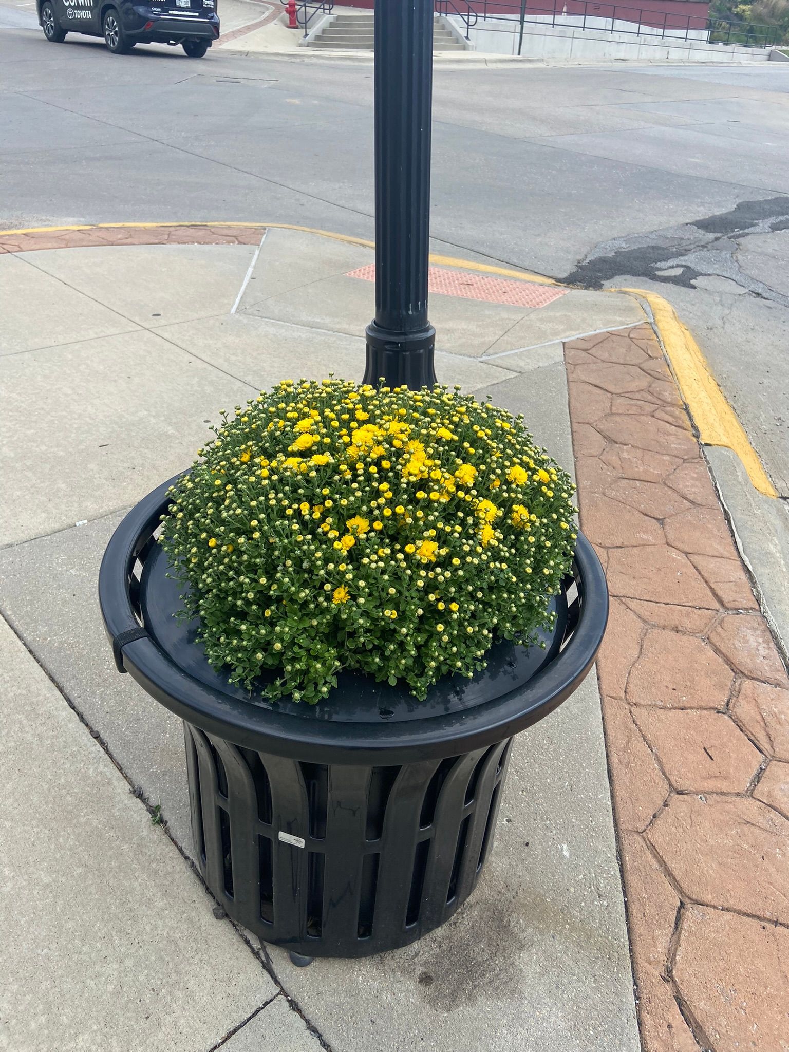 Black planter with green and yellow flowers by a street.