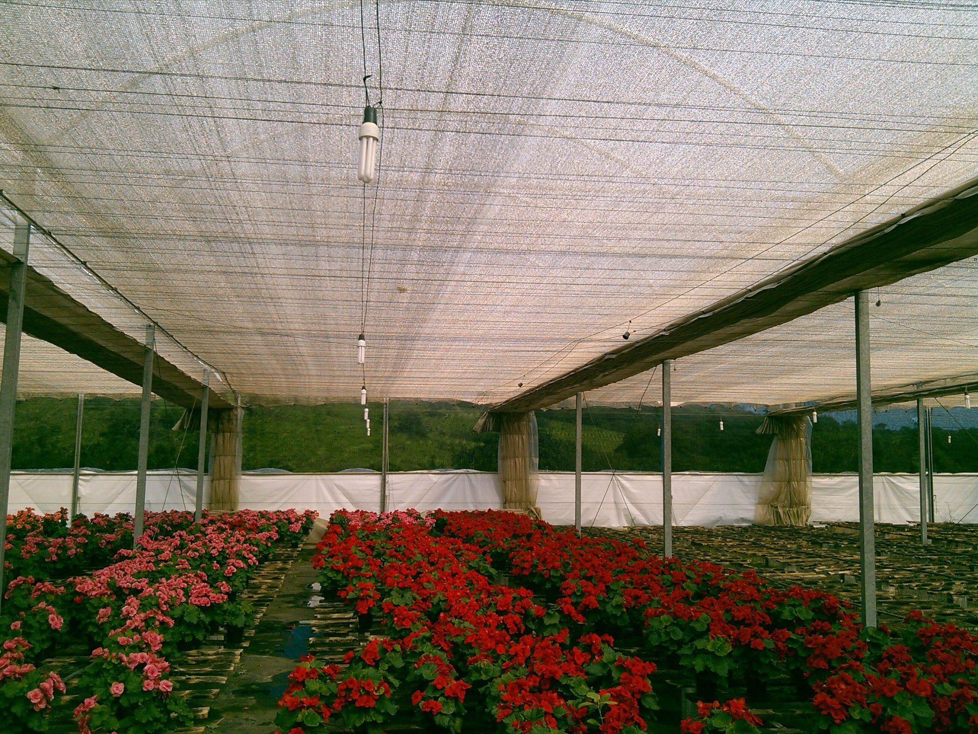 Manta Térmica - TNT