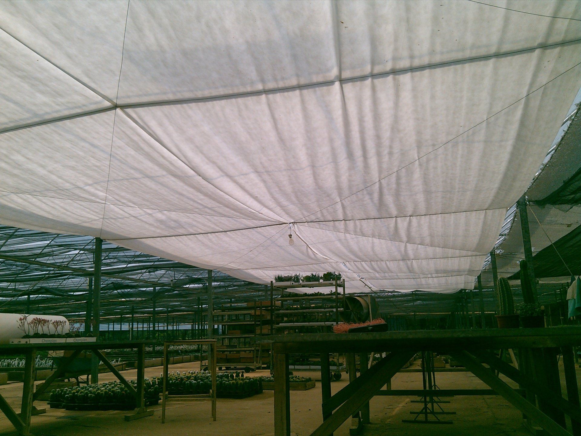 Manta Térmica - TNT