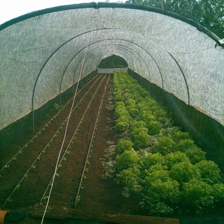 Sobre a TA Filmes Agrícolas