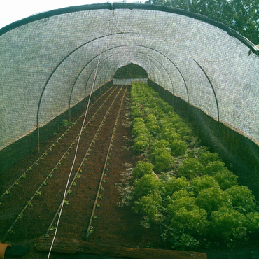 Sobre a TA Filmes Agrícolas Sobre a TA Filmes Agrícolas