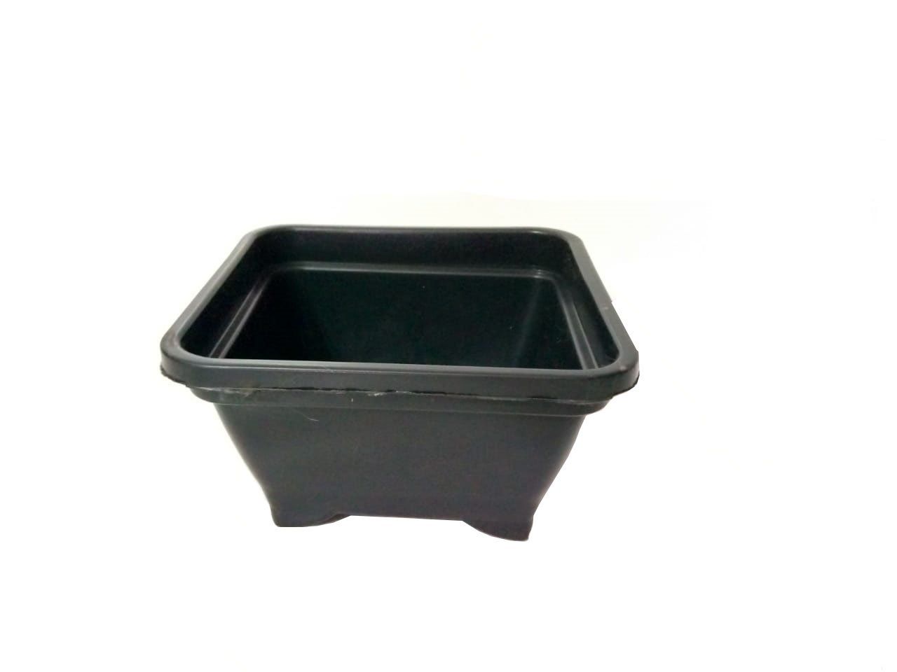 Cuias Bonsais e Jardineiras