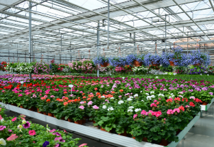 Filme Difusor Antivírus