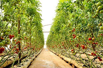 Filme de alta proteção
