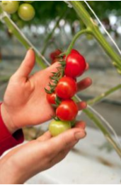 Filme de alta proteção