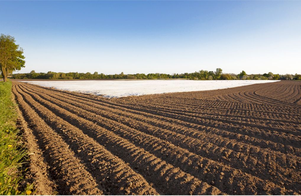 Manta Térmica - TNT