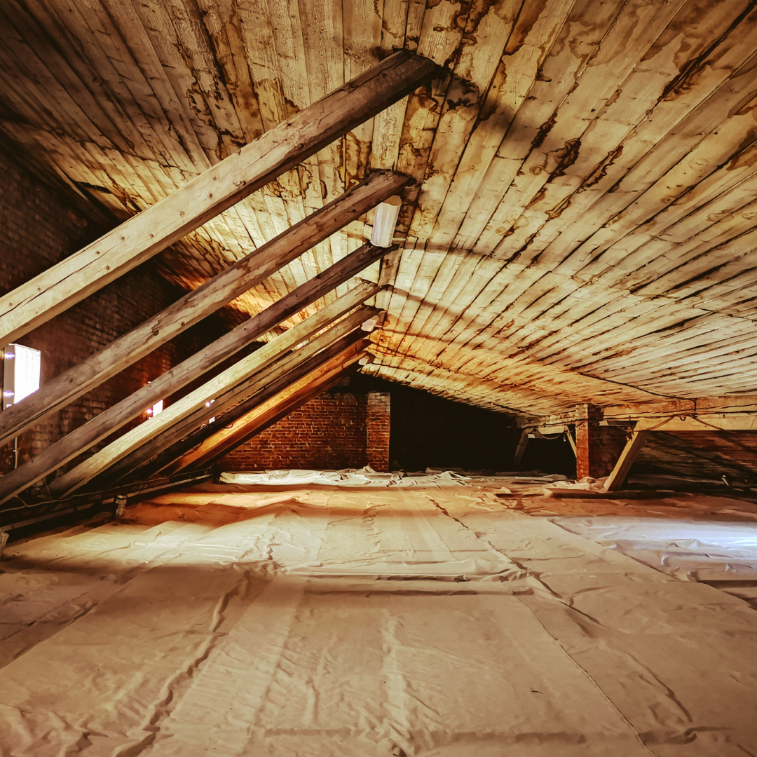Inside of a large slanted roof with wood supports and lots of light.