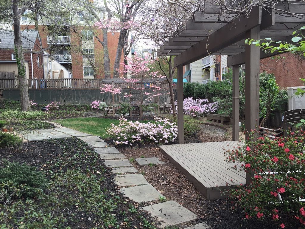 A garden with flowers and a pergola in the background